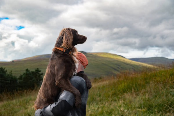 Tips from the community: TentBoxing with Dogs