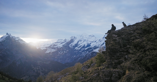 L'aventure d'Inoxtag dans les montagnes.