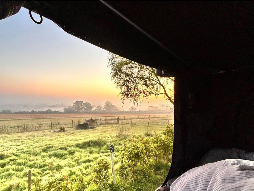View from inside the TentBox looking out over a grassy sunrise-lit field.