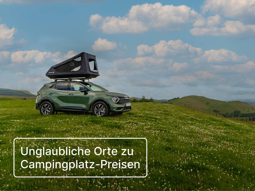 GO Dachzelt geöffnet auf einem geparkten Fahrzeug in einer Wiese voller Wildblumen, mit Bergen im Hintergrund.