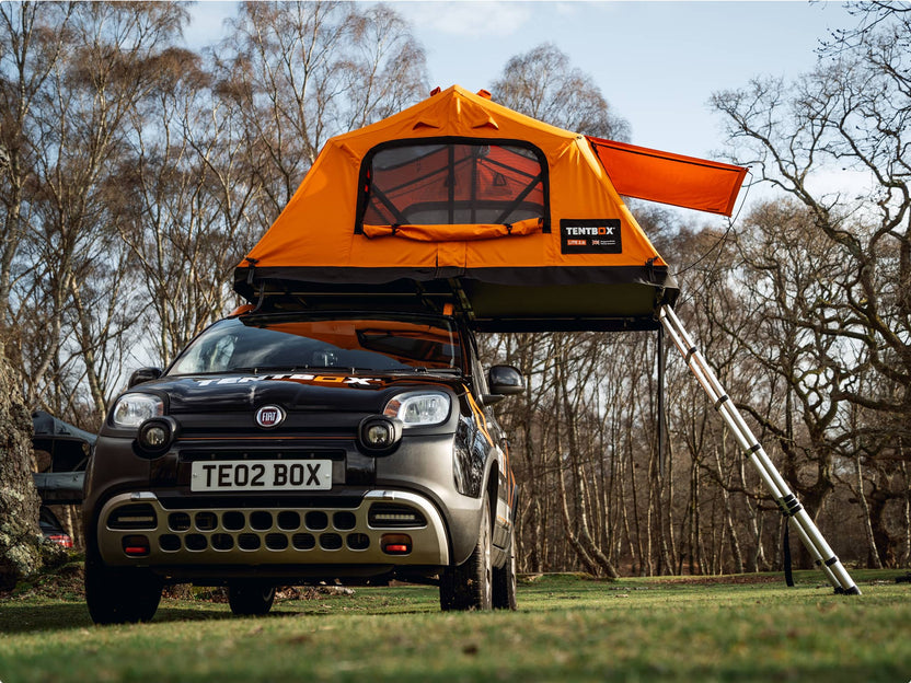 TentBox Lite 2.0 set up on top of a Fiat Panda in a wooded area. The tent is fully open, ladder extended to the ground, with trees and grass visible in the background